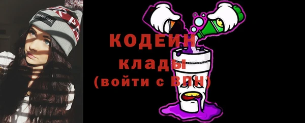 хмурый Покров